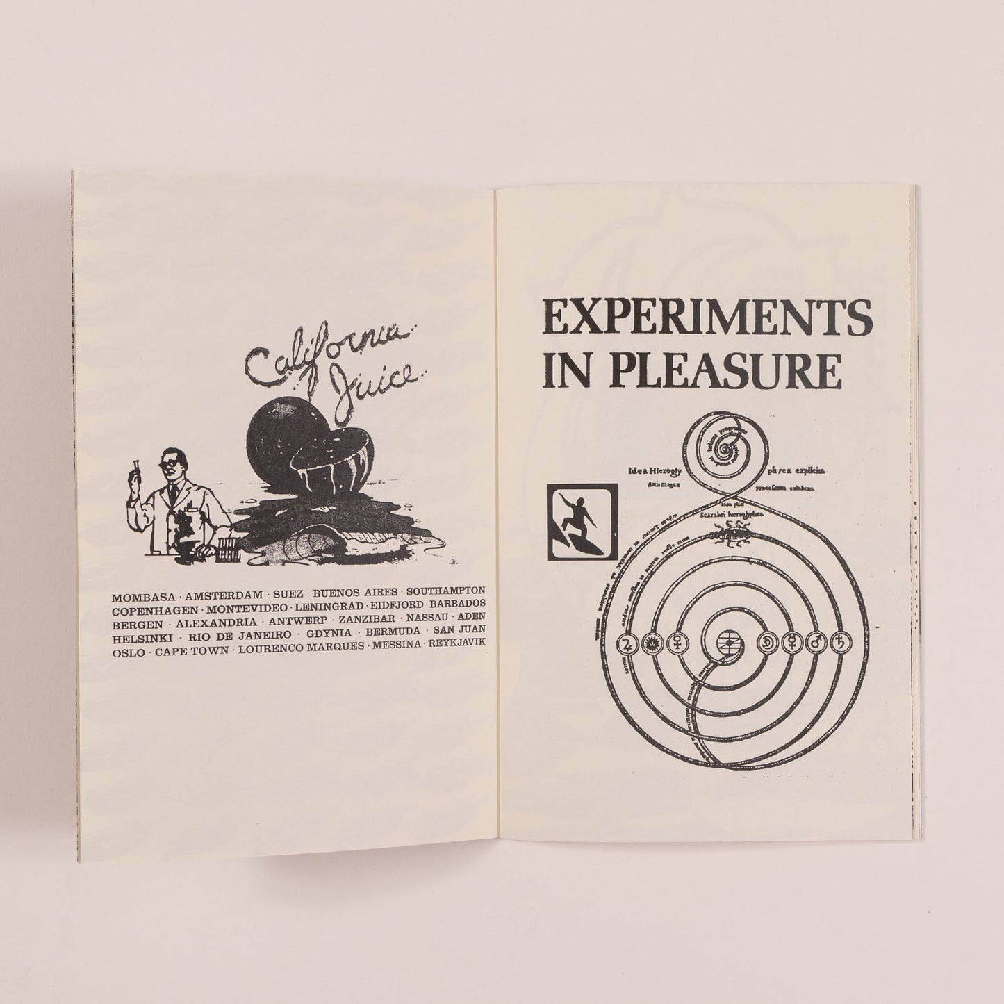 Orange Sunshine Zine