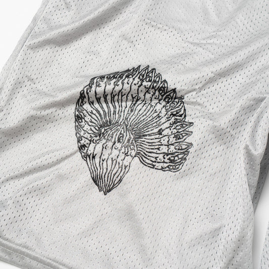 Grey Mesh Gym Shorts